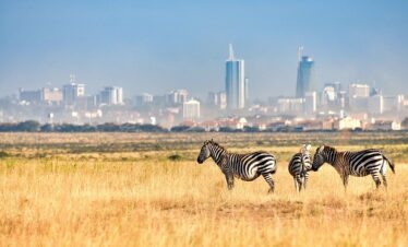 nairobi national park