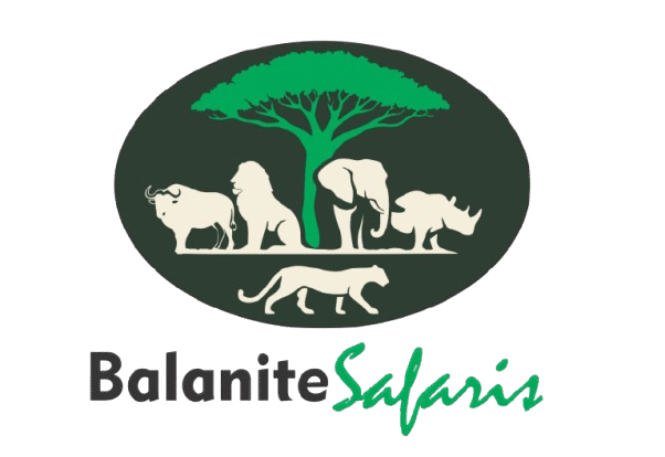Balanite Safaris
