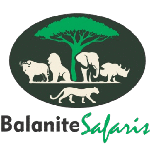 Balanite Safaris