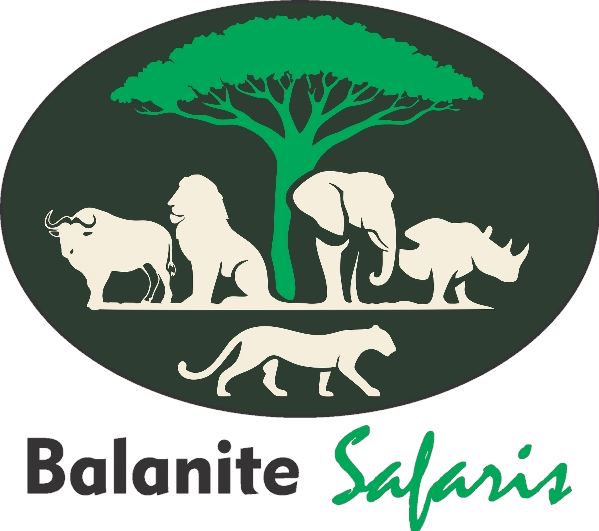 Balanite Safaris