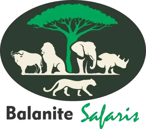 Balanite safaris